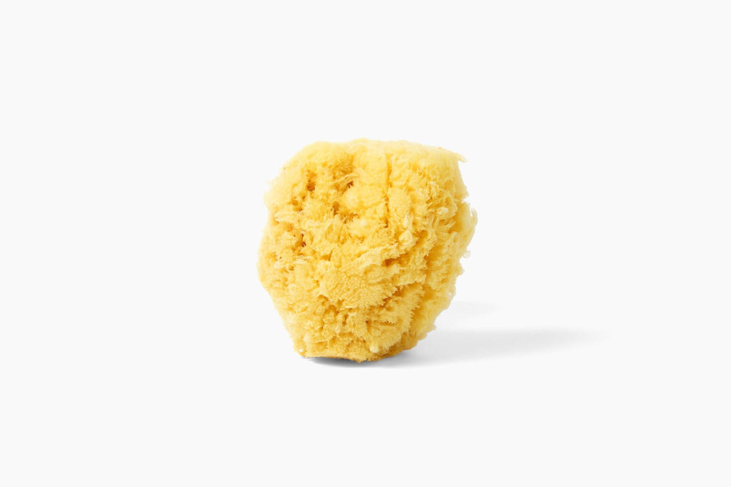 Silk Sponge