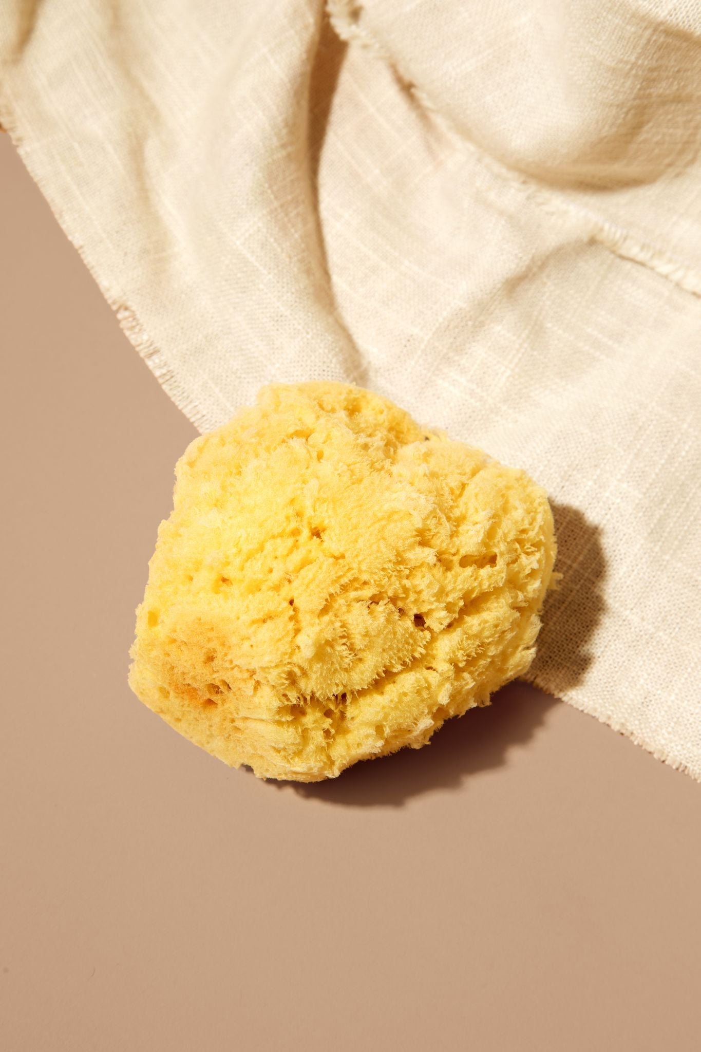 Silk Sponge